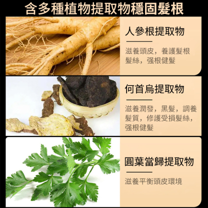何首烏防脫髮洗黑育髮洗髮乳（植物滋潤型）