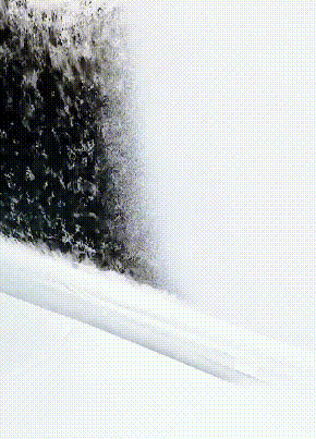 5e5f1a902665d10fe86996506a8ff497.gif