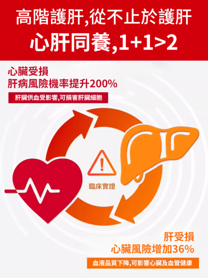 8週改善·心肝同養護 葛根枳椇子膠囊