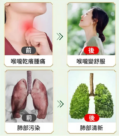 人參百合玉竹羅漢果片