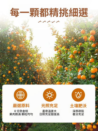 清肺潤喉特級甘草金桔