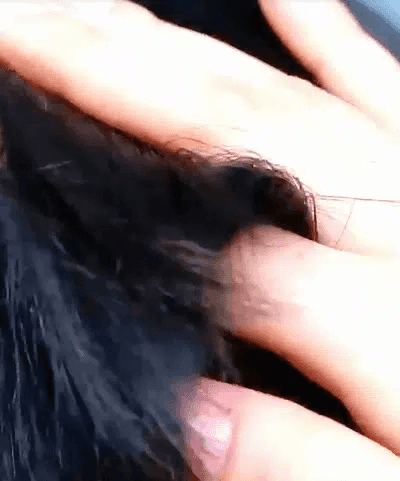 123_12.gif