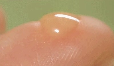 5.gif