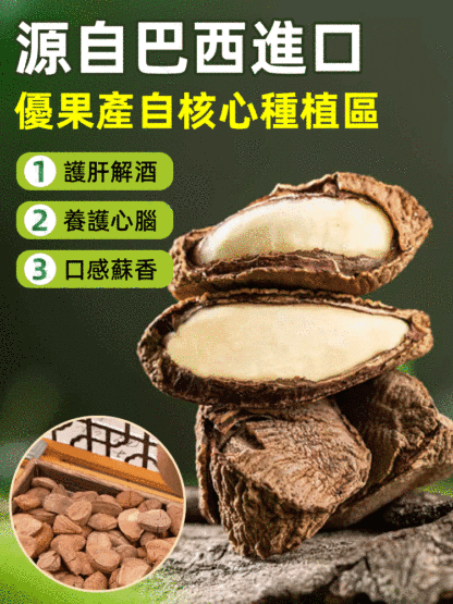 新貨開口巴西鮑魚果