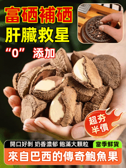 新貨開口巴西鮑魚果