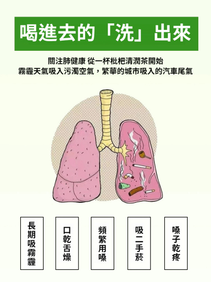 【專注喉】胖大海羅漢果雪梨茶