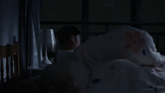 8e05b26f9be5ae060bb739d5b7d9b832.gif