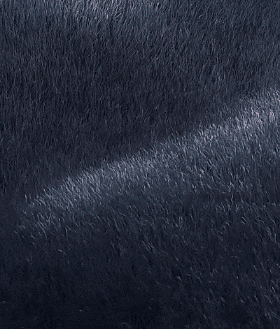 c32e0bdfb73dd4feb75b43ab0fcff45f.gif
