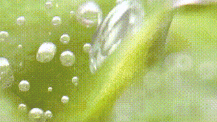 adda423d87004d6189db84549b4e8095.gif
