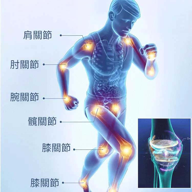 【養護關節】葡萄糖胺硫酸軟骨素鈣膠囊