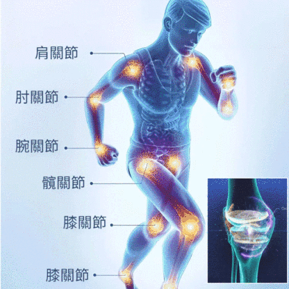 【養護關節】葡萄糖胺硫酸軟骨素鈣膠囊