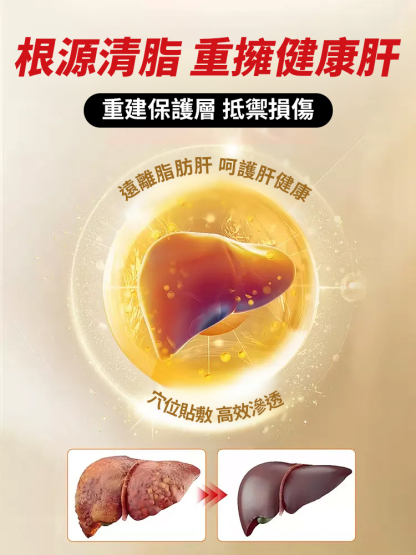 熊膽靈芝薑黃佛手護肝貼
