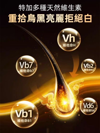 靈芝烏黑片，官方正品，買1發2