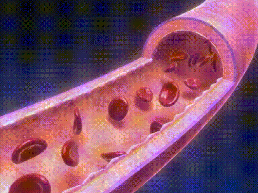 20240828_100227_198.gif
