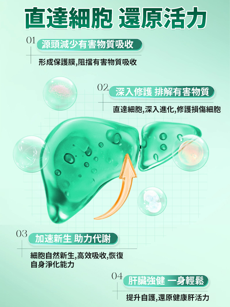 【肝膽腎同補】靈芝水飛薊人參葛根片,拍一發二,產地直發,品質保證