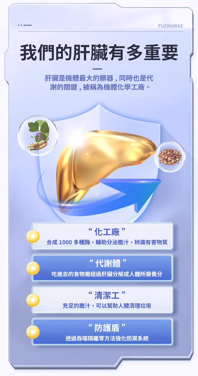 翻译件-JC-葛根丹参茶多酚护肝片-1213494-系统_12.jpg
