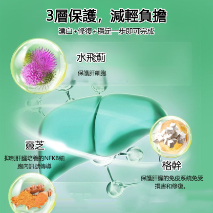 葛根靈芝片壓片糖果