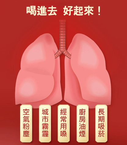 北京同仁堂羅漢果菊花胖大海茶