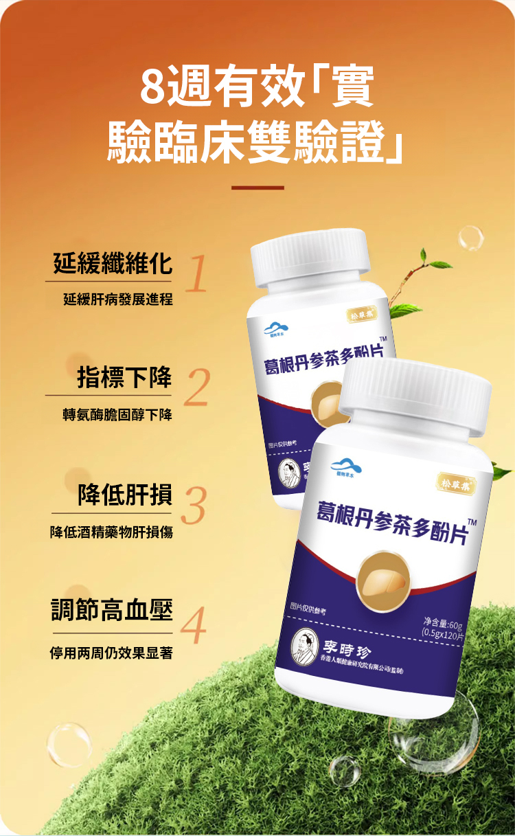 翻译件-JC-葛根丹参茶多酚护肝片-1213494-系统_08.jpg