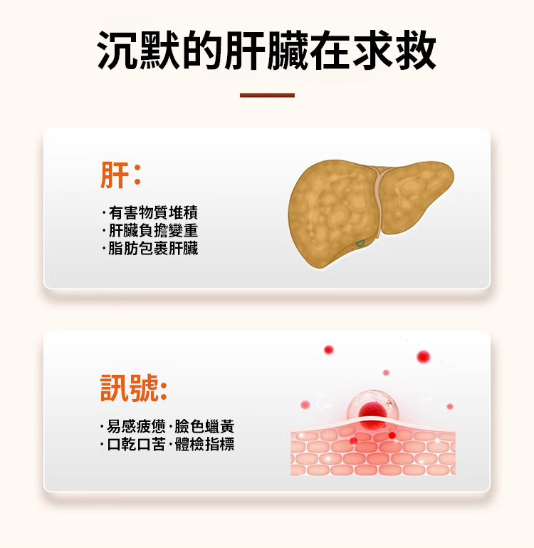 翻译件-JC-葛根丹参茶多酚护肝片-1213494-系统_06.jpg