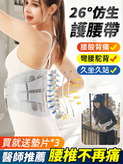 仿生板支撐護腰固定帶
