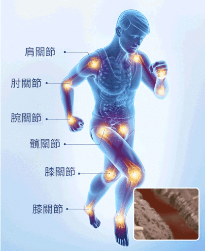 氨糖軟骨素鈣片