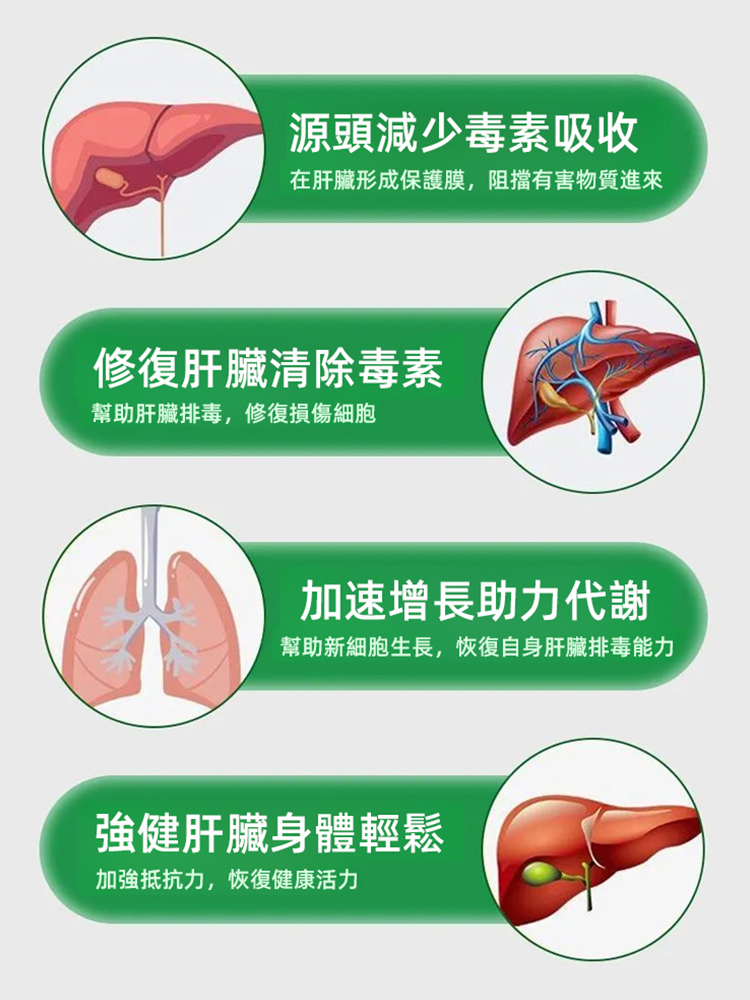奶薊草籽油黃芪人參葛根靈芝片