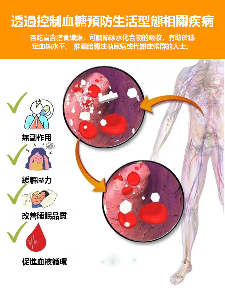 不加糖杏桃紅杏乾