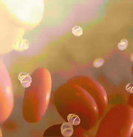 08.gif