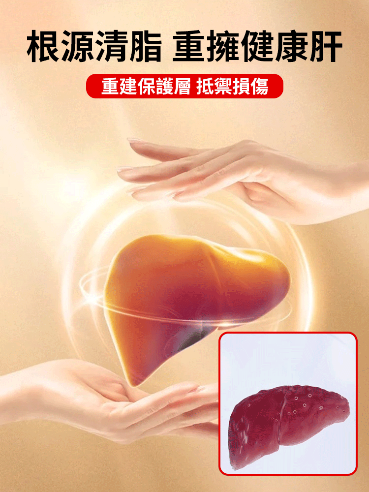 【春後恢復元氣】四寶養生茶