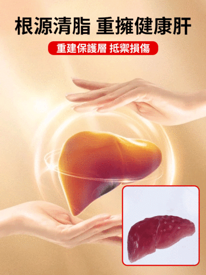 【春後恢復元氣】四寶養生茶