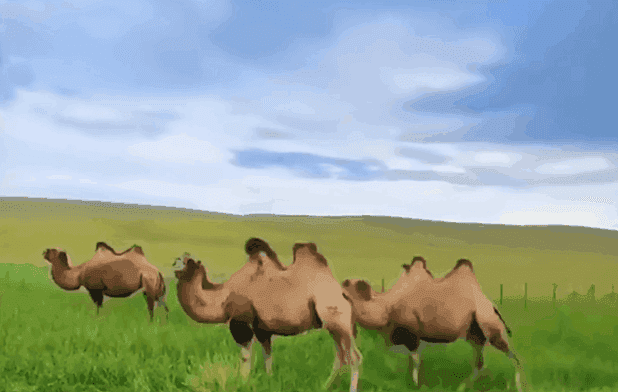 ecabecbb67f769950eb0c0434b1a1d29.gif