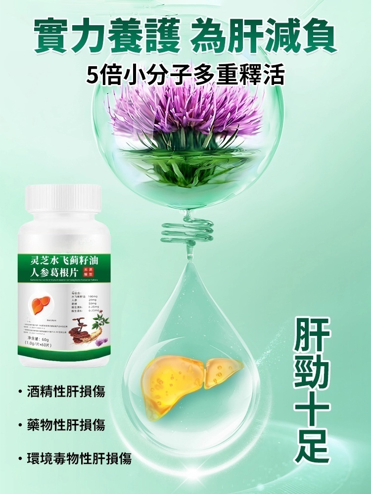 【肝膽腎同補】靈芝水飛薊人參葛根片,拍一發二,產地直發,品質保證