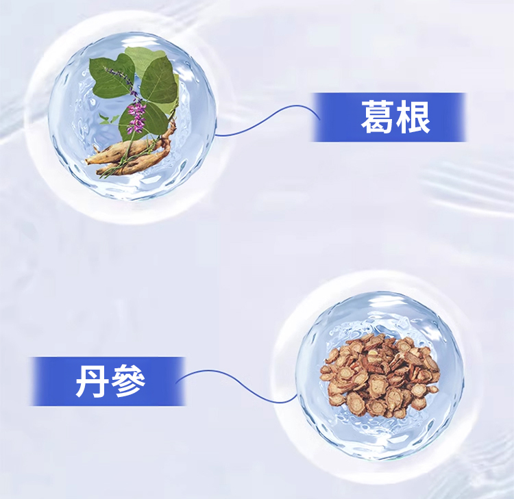 翻译件-JC-葛根丹参茶多酚护肝片-1213494-系统_10.jpg