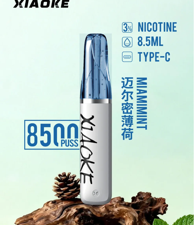 梟客口紅款8500口拋棄式電子煙完整解析，外觀設計、續航能力、優缺點分析與選購建議SEO內容整理