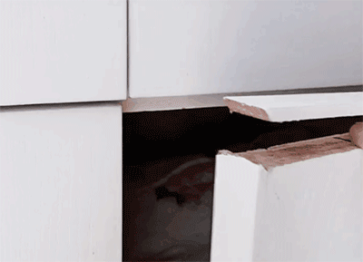 4.gif
