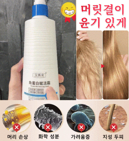  고농도 단백질 트리트먼트