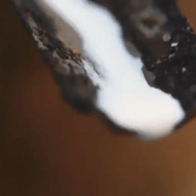 10.gif