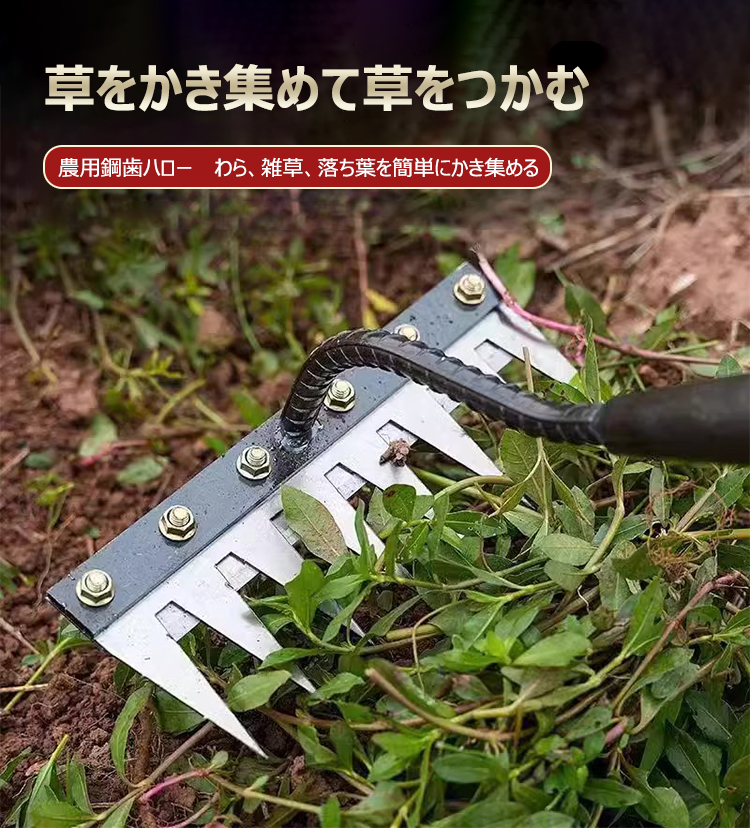 未标题-1_07.jpg