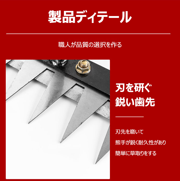 未标题-1_30.jpg