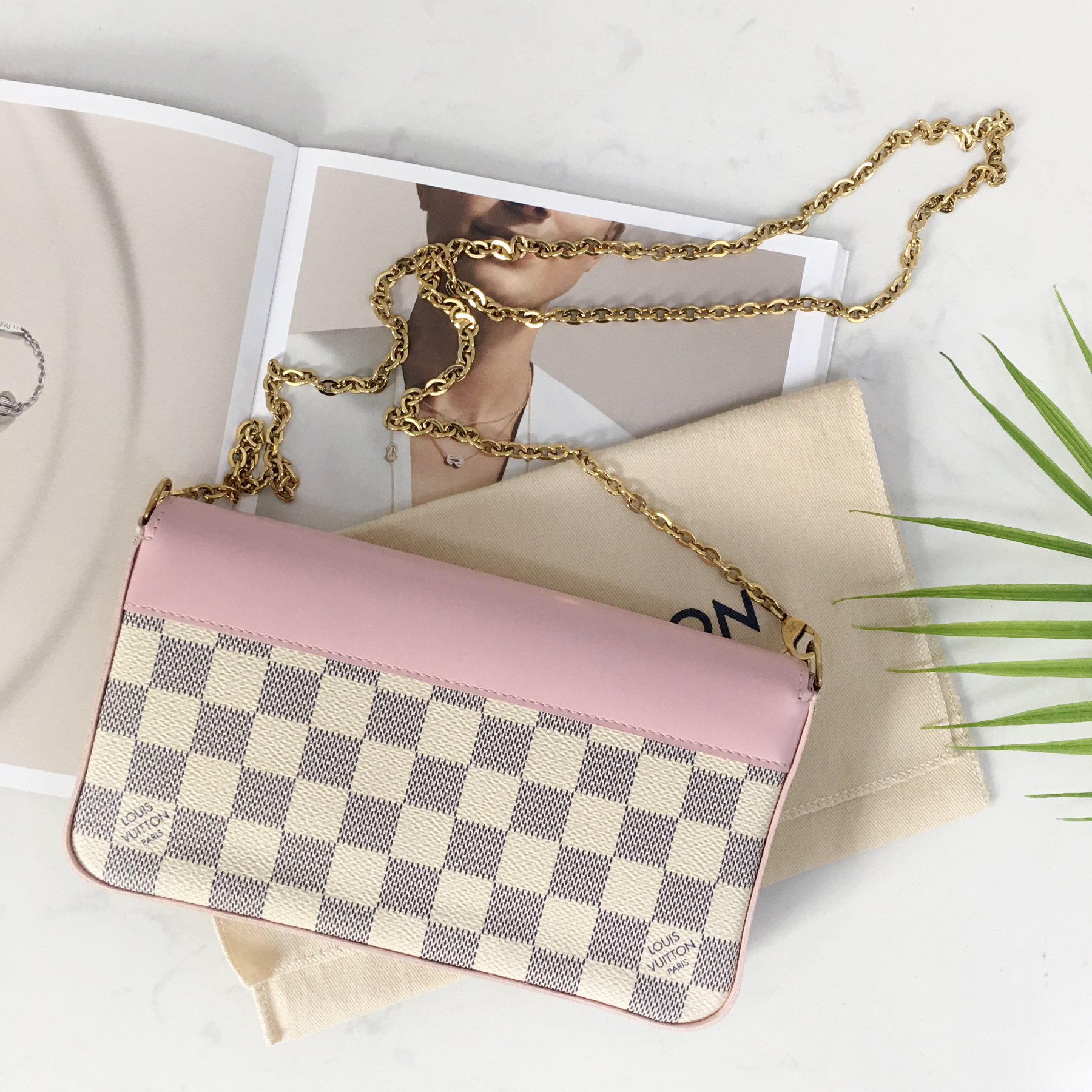 LOUIS VUITTON WOC (Wallet on Chain) N63106