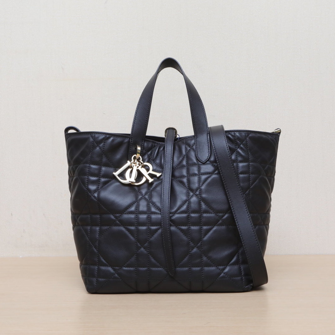 *DIOR Toujours Vertical Medium Handbag 23cm-Hana Vintage