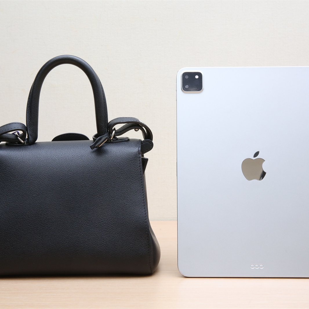 *DELVAUX Brillant Mini 20-Hana Vintage