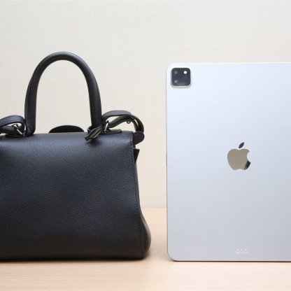 *DELVAUX Brillant Mini 20-Hana Vintage