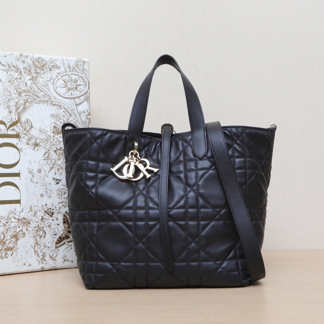 *DIOR Toujours Vertical Medium Handbag 23cm-Hana Vintage