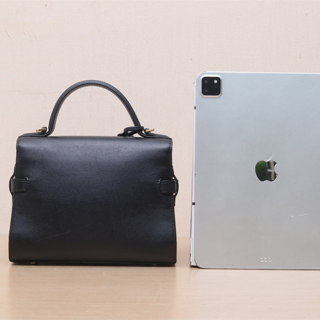 *DELVAUX SWIFT Leather Tempete MINI-Hana Vintage