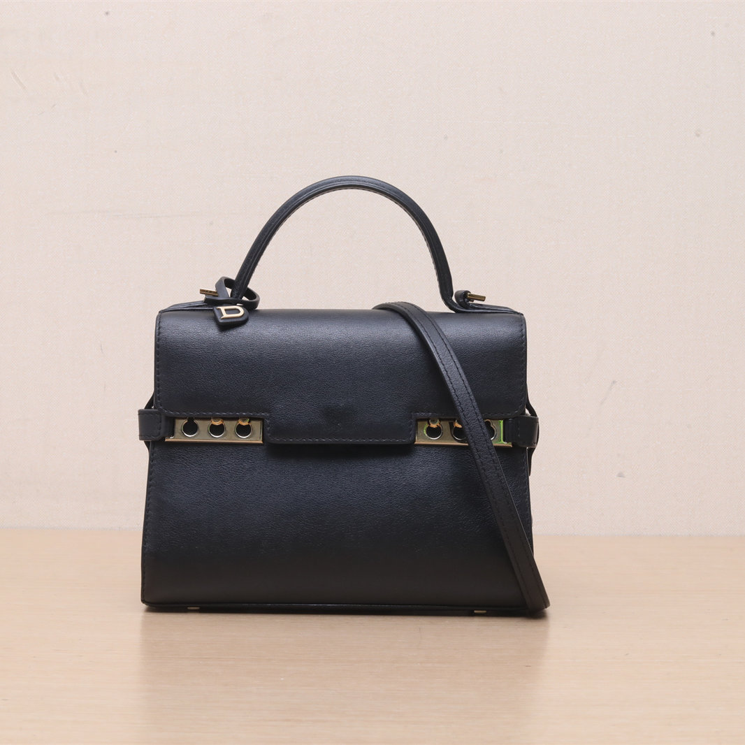 *DELVAUX SWIFT Leather Tempete MINI-Hana Vintage