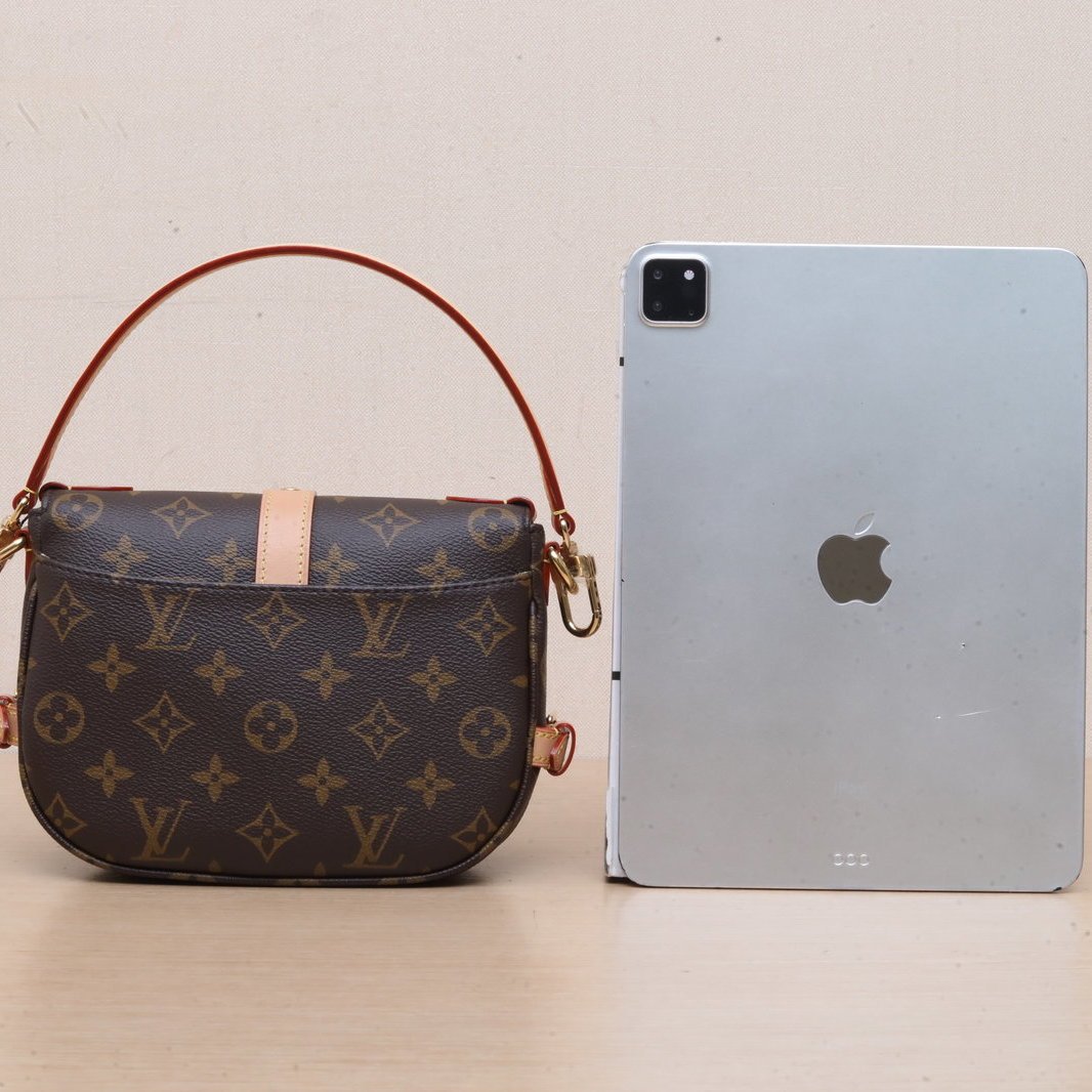 *LOUIS VUITTON Saumur Gemini Small Size 20-Hana Vintage