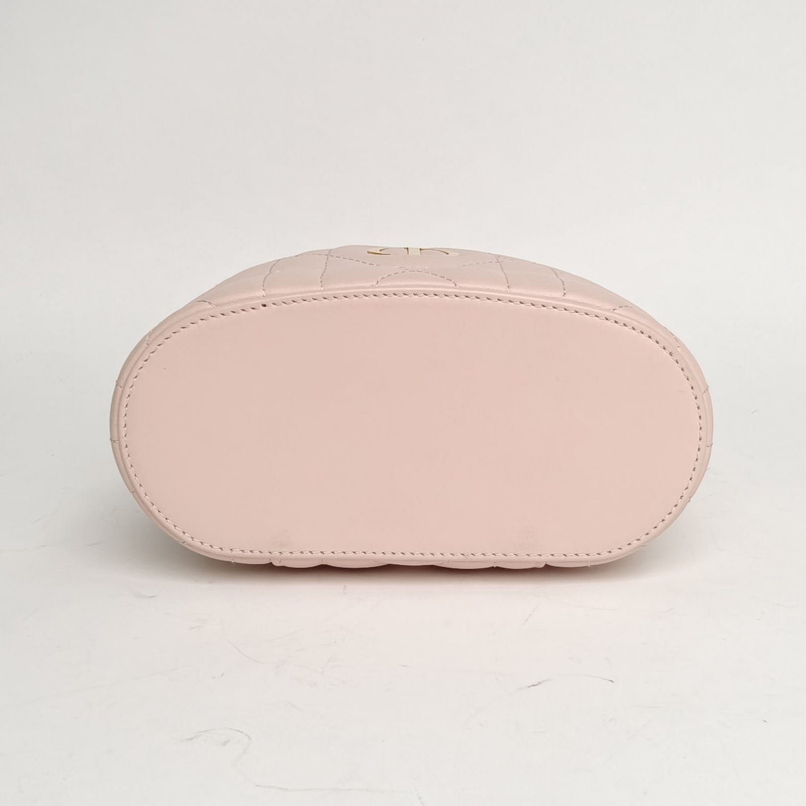 DIOR Pink Gold Hardware 2024 30 Montaigne Caro Cosmetic Bag