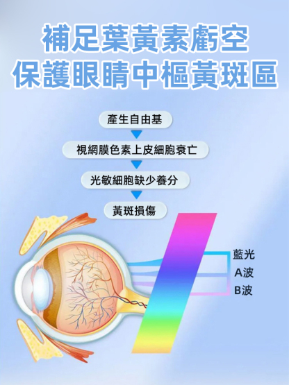 香港大藥局葉黃素水凝膠眼貼